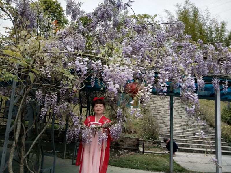莉莉的第一张照片--顺昌征婚网