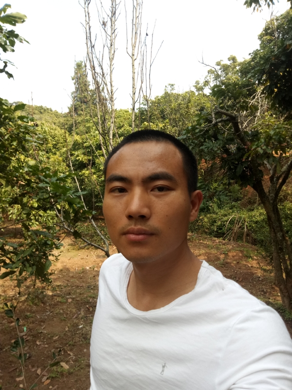简单的第一张照片--顺昌征婚网